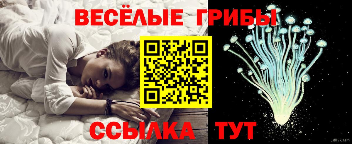 Касимов  Псилоцибиновые грибы мухоморы  Вход с VPN  Псилоцибиновые грибы Psilocybine cubensis 
