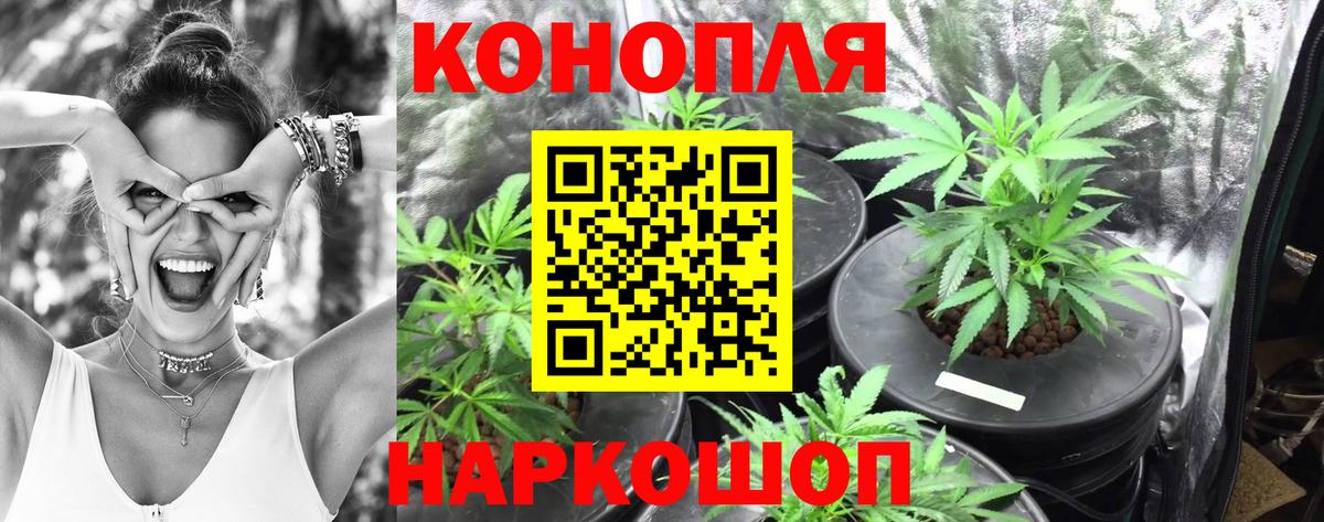 Касимов  Бошки Шишки OG Kush  Вход с VPN  Бошки марихуана Bruce Banner  Конопля Ganja 